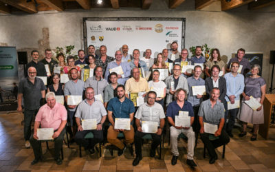 Mondial du Chasselas 2024